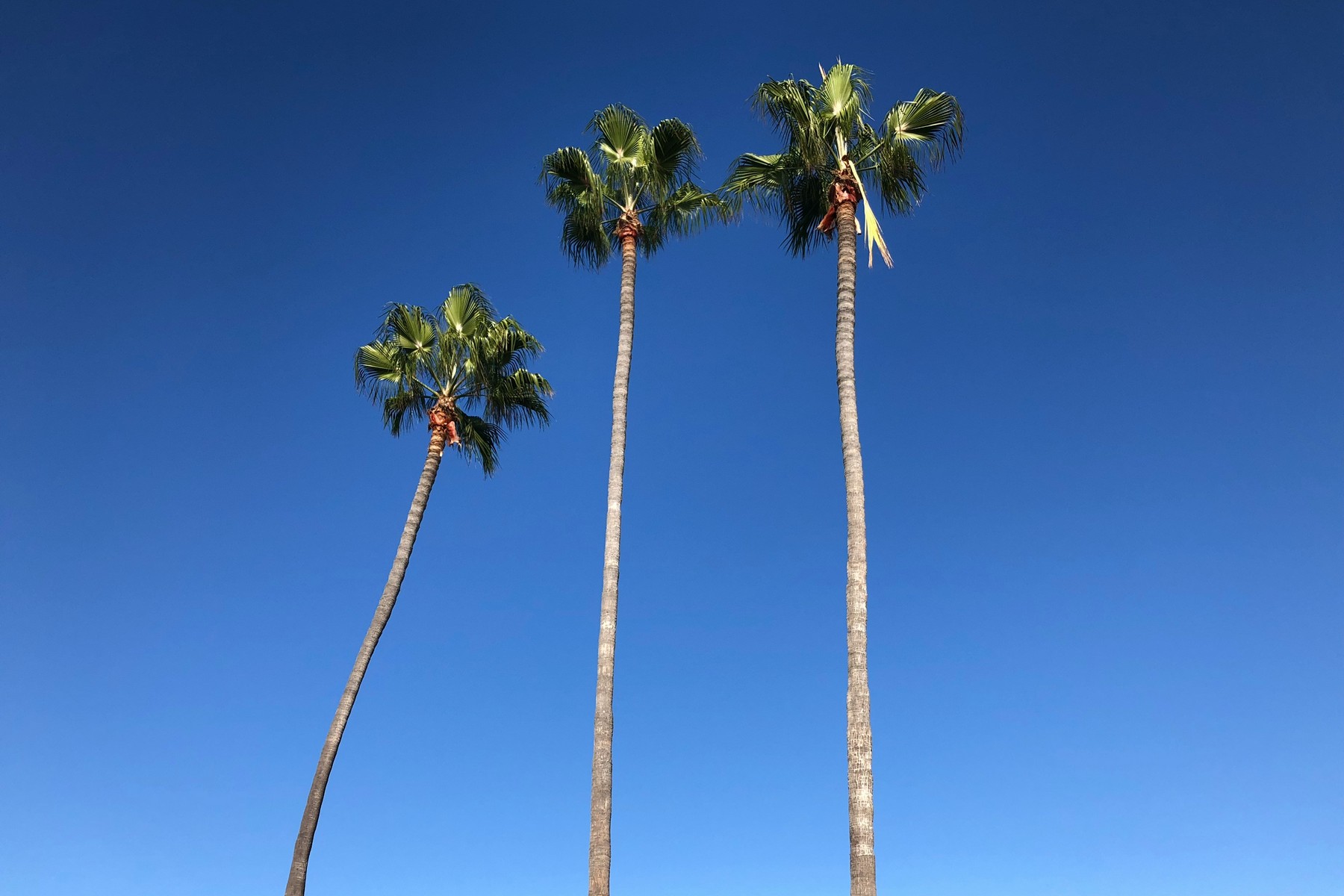 El Cajon