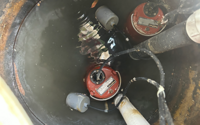 Warning Signs Your Septic Tank is Damaged