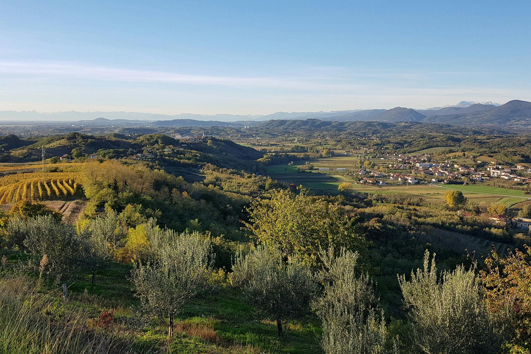 Spring Valley