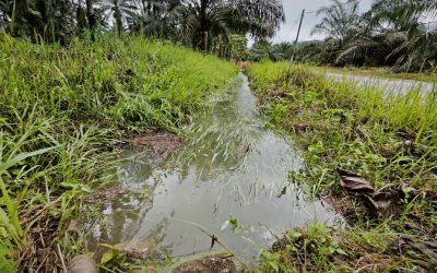 Signs You Need to Replace Your Leach Field